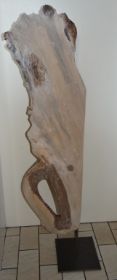 DSC00954.JPG